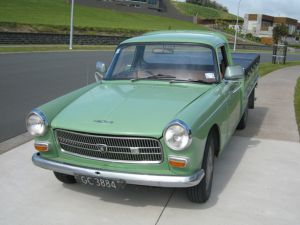 GC3884 (NZ) IMG